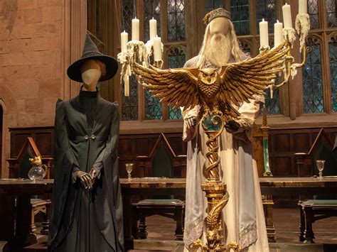 female dumbledore costume